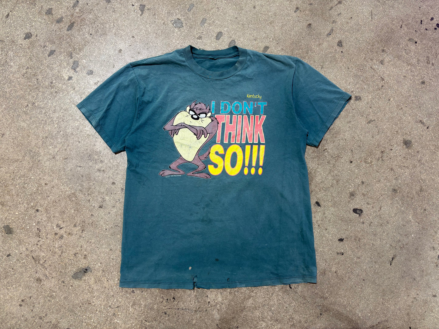 Taz I Don't Think So Tee - Faded Green Size XL