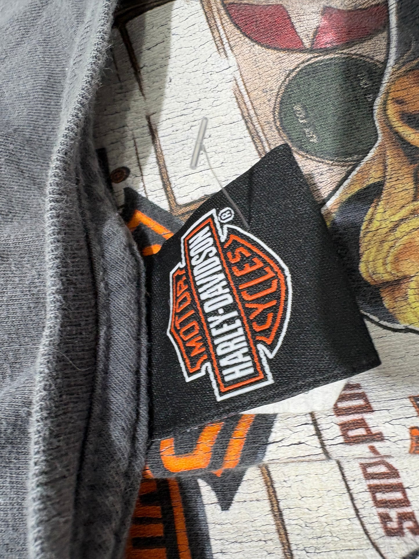 Harley Davidson Louisville Hot Chicks Tee - Grey Size Large