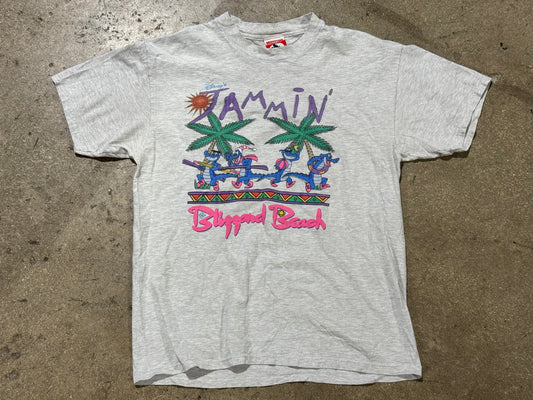 Disney Blizzard Beach JAMMIN' Tee - Ash Grey Size Large