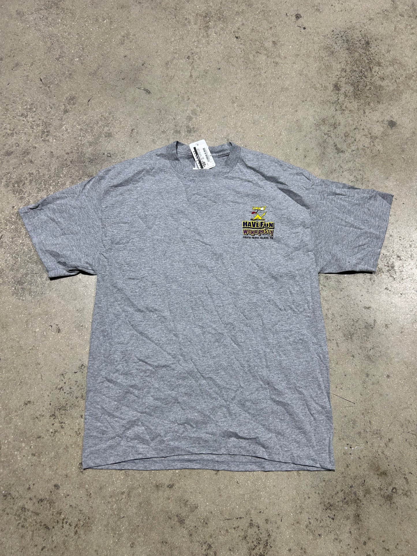 Have Fun With A Pussy Tee - Gray Size Large