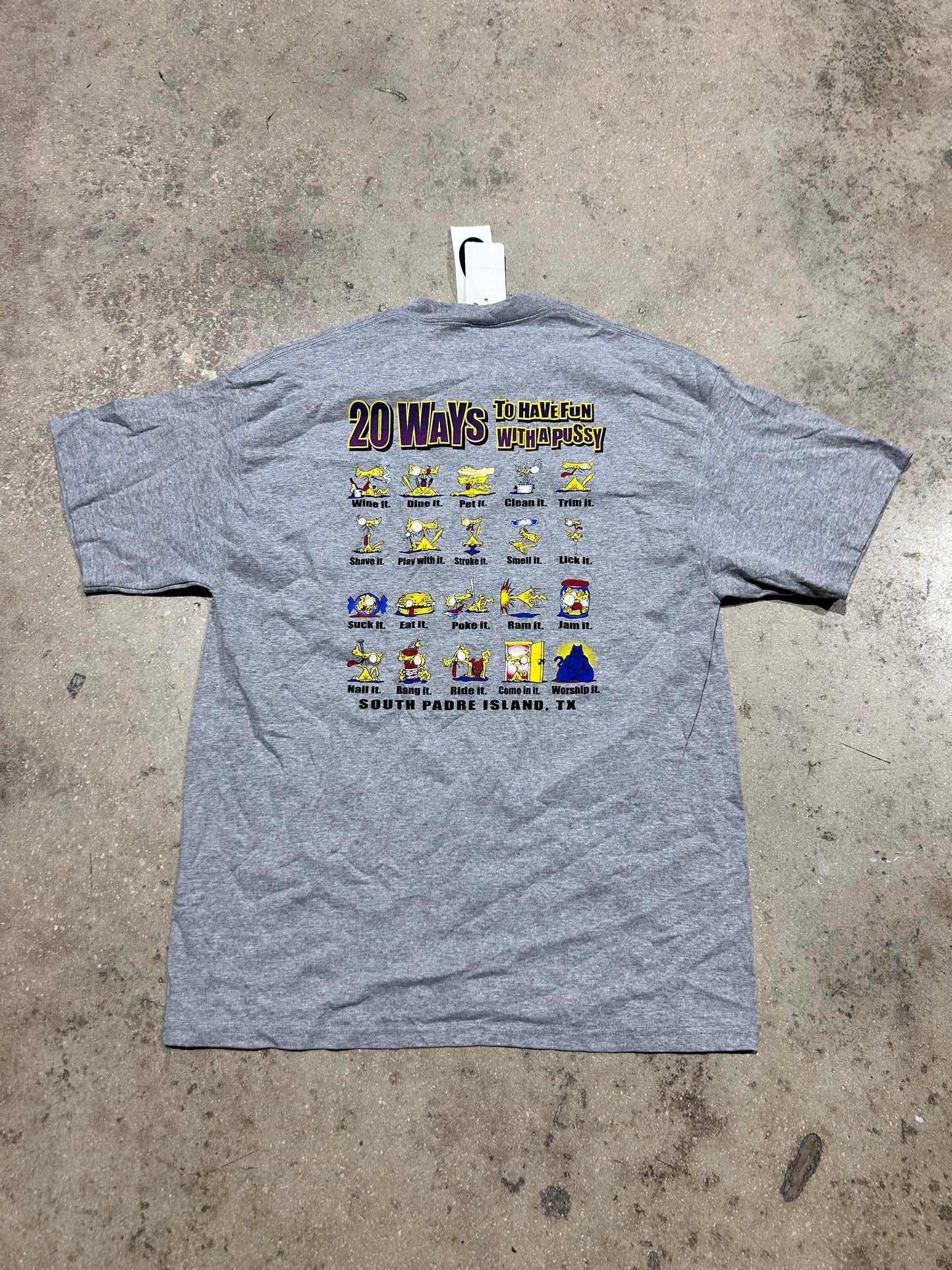 Have Fun With A Pussy Tee - Gray Size Large