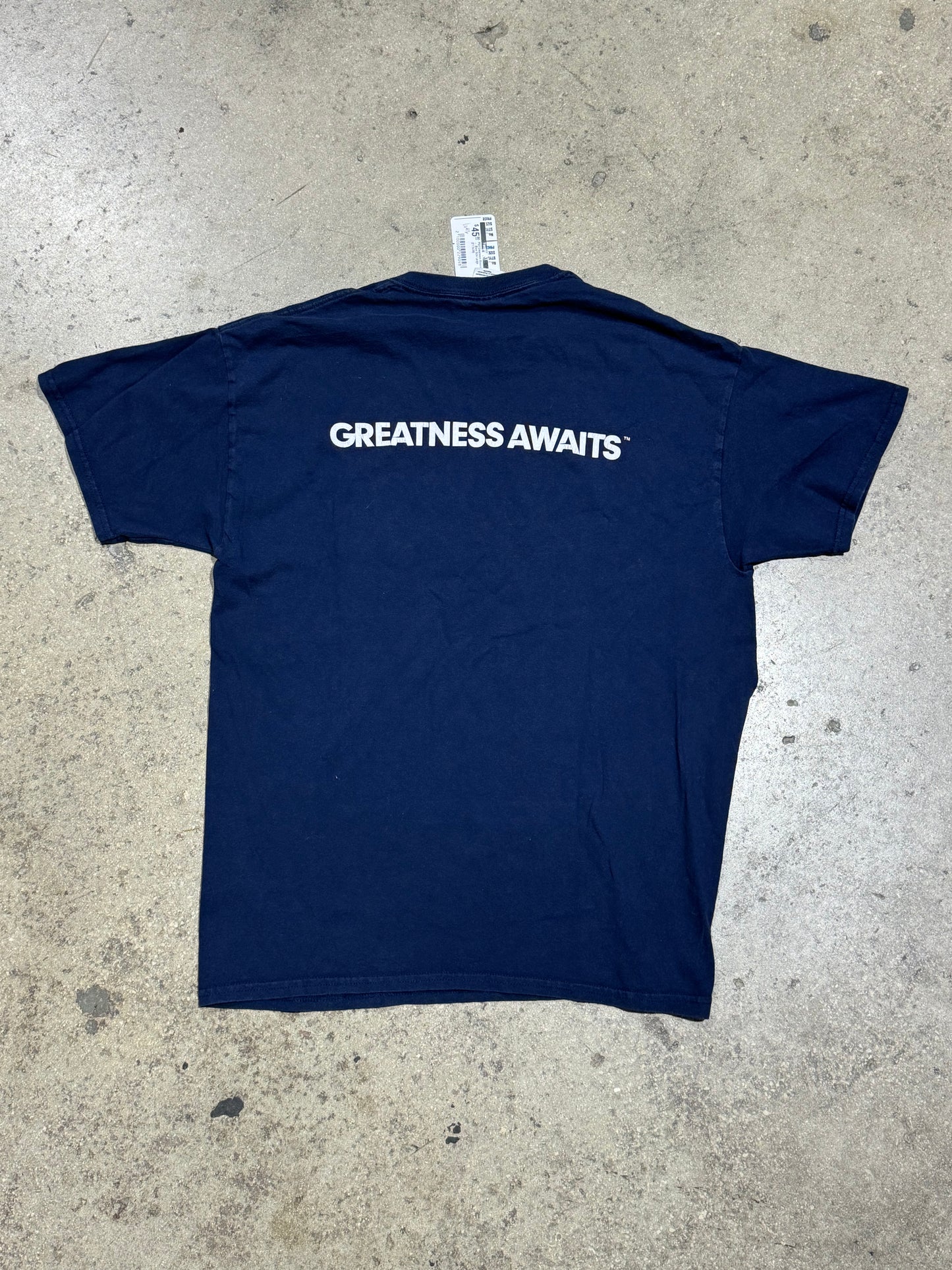 PS4 Greatness Awaits Tee - Blue Size Large