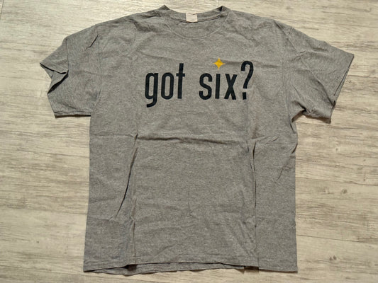 Pittsburgh Stelers Got Six? Tee - Grey Size XL