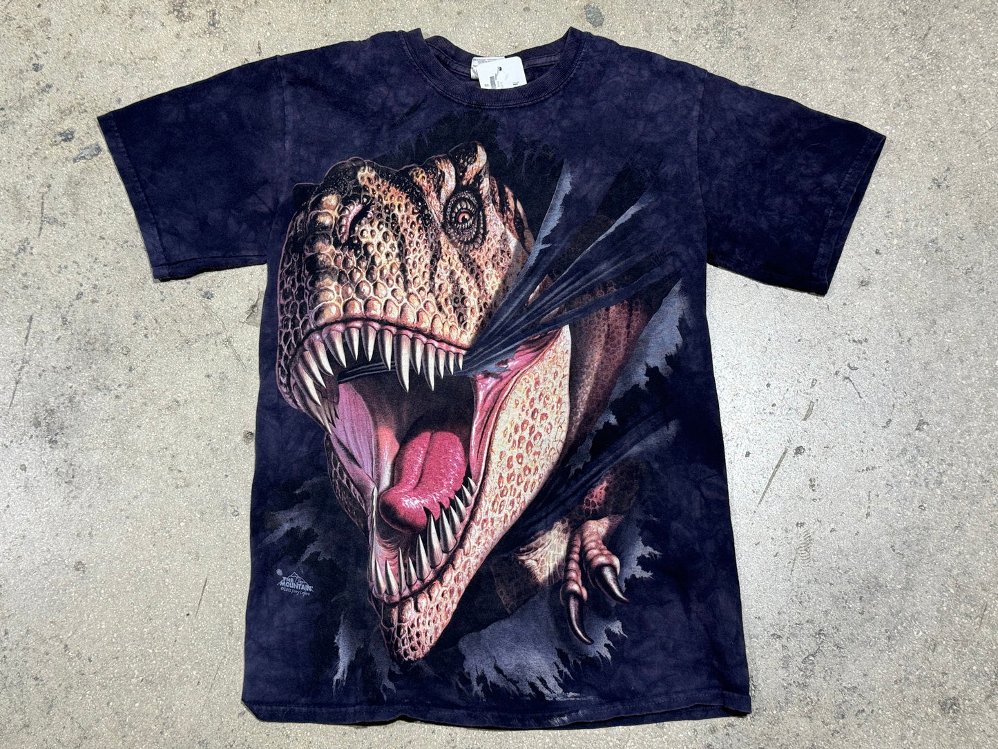 2012 T Rex Tee - Navy Dye Size Small